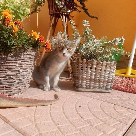 Ubytovanie U Ladislava Wierzbów Zewnętrze zdjęcie